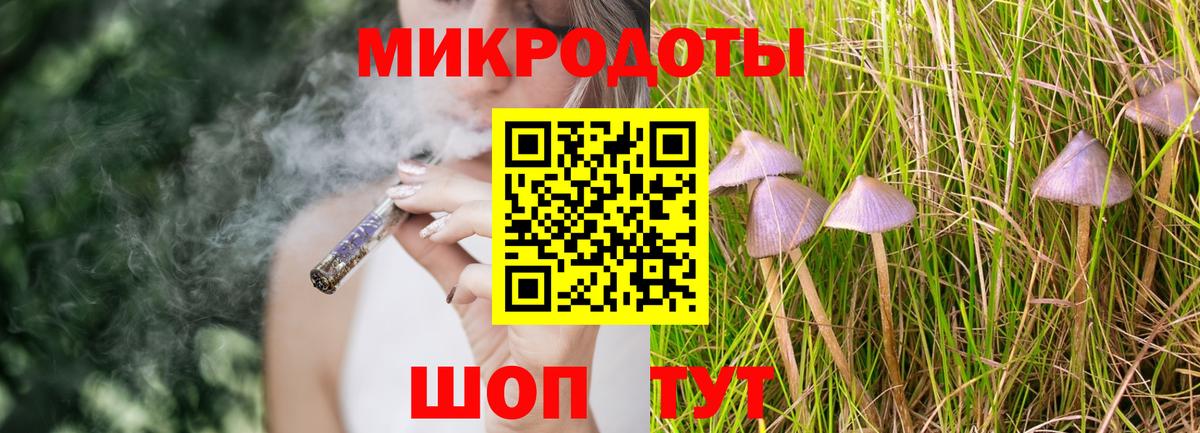 Псилоцибиновые грибы Psilocybe Валуйки