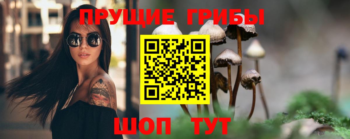 Валуйки  Галлюциногенные грибы Psilocybe  Псилоцибиновые грибы ЛСД  Вход с VPN 